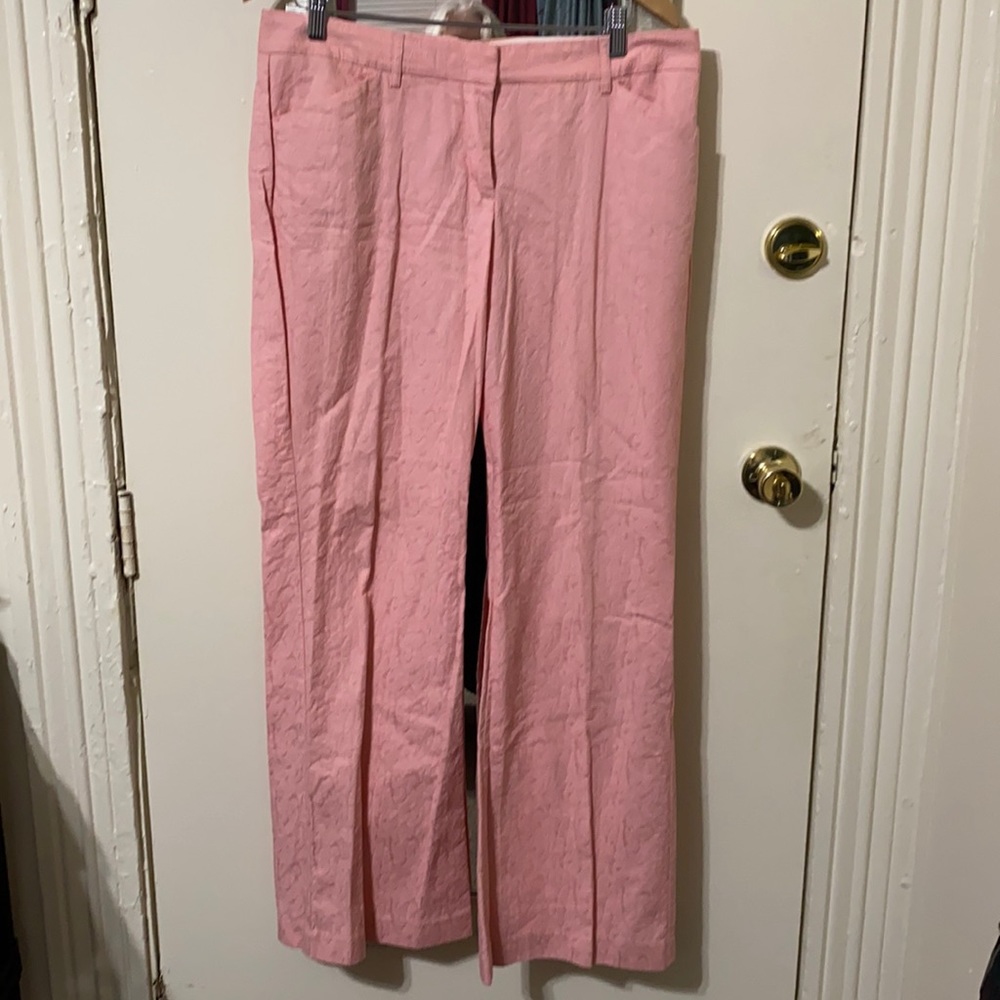 Express design studio pants